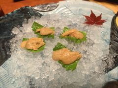 -月龍吟(朝龙汇店)