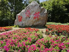 -萨尔浒风景区
