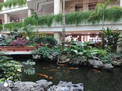 -广州白天鹅宾馆