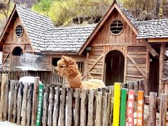 -幽岚山·童话森林