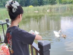 -沈阳于洪碧桂园凤凰酒店