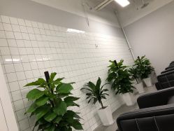 -P.STYLE派斯造型