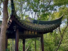 -上海佘山国家森林公园天马山园