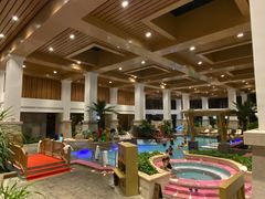 -齐河孔雀王温泉酒店·金孔雀自助百汇