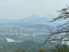 -风云岭森林公园