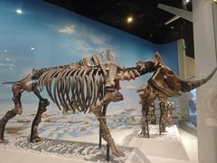 -国家自然博物馆