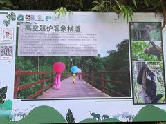 -野象谷景区