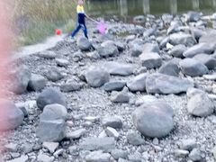 -吴淞炮台湾湿地森林公园烧烤区