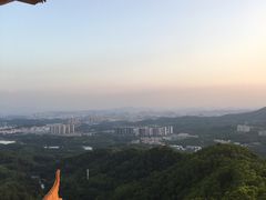 -大屏嶂森林公园