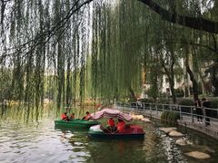 -莲湖公园