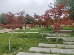 -汉长安城未央宫国家考古遗址公园