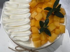 -BRIGNA百丽格娜·纯动物奶油生日蛋糕(浦东店)
