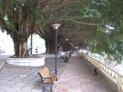 -福建师范大学(仓山校区)
