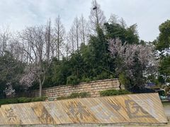-上海滨江森林公园