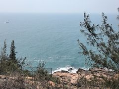 -广东惠东海龟国家级自然保护区