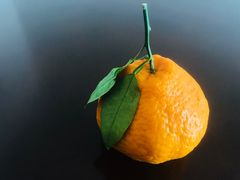 -鲜果壹号(苏站路店)
