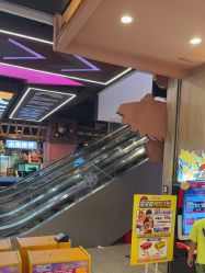 -卡通尼·Safari非洲探索乐园·生日会(金桥国际商业广场店)