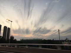 -白洋淀景区
