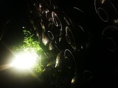 -远山有窑