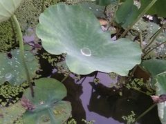 -留芳·文旅古月楼(老街店)