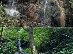 -南丹山森林王国