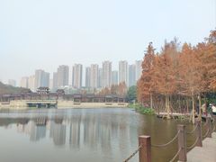 -重庆彩云湖湿地公园