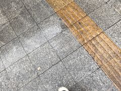 -阿毛饭店首店·宁波老字号(文化广场店)