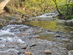 -石台牯牛降景区