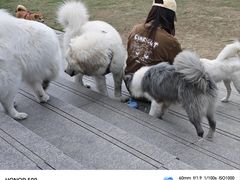 -首开·龙湖成都西宸天街