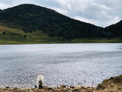 -罗坪山