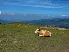 -灵山
