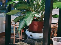 -四姐妹东北饺子(沙尾路店)