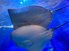 -太平洋海底世界