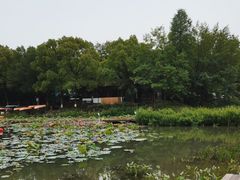 -西溪国家湿地公园