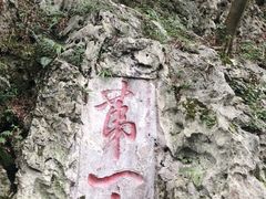 -黔灵山公园