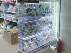 -三旗百汇商品城