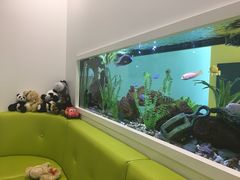 -Burlington Pediatric Dentistry