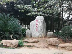 -武汉大学-樱园