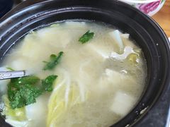 -启子大馅饺子