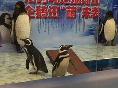 -活力城购物中心