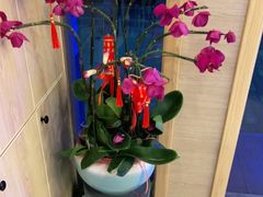 -麦悠悠·SPA·推拿(太阳山路店)
