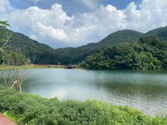 -广州市石门国家森林公园