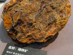 -浙江自然博物院(杭州馆)