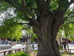 -北京石刻艺术博物馆(五塔寺)