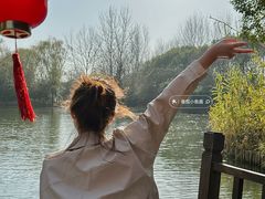 -溱湖国家湿地公园