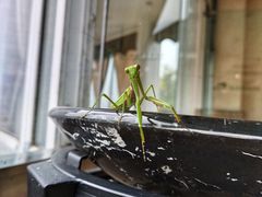 -雅安楠水阁温泉酒店