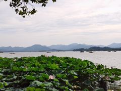 -Xcape异时刻密室逃脱(龙湖丁桥天街店)