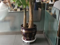 大堂-李先生牛肉面大王(营口大润发店)