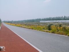 -上海长兴岛郊野公园