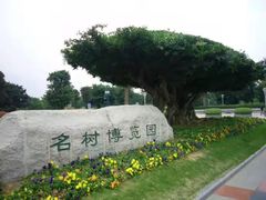 -南宁南湖公园